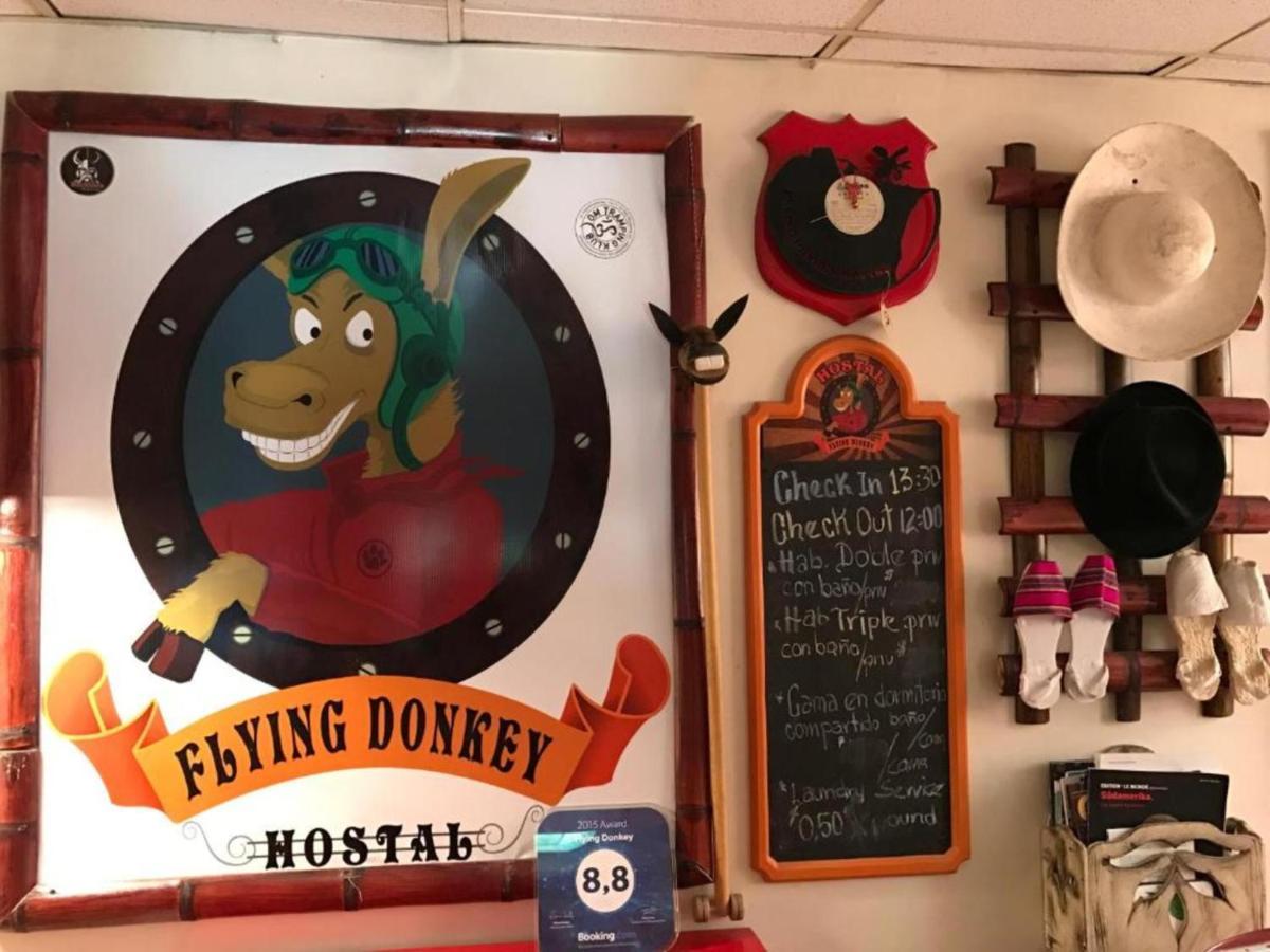 Flying Donkey 2* Otavalo