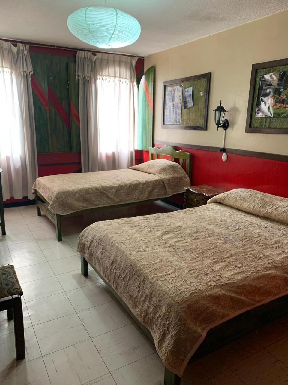 Flying Donkey Bed & Breakfast Otavalo